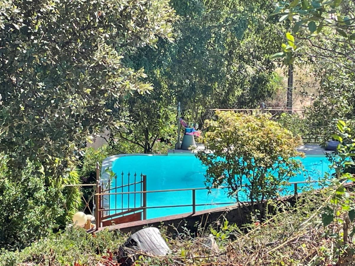 Jolie Annexe Du Mas Dans Le Coeur De La Garrigue Nimoise Villa นีมส์ ภายนอก รูปภาพ