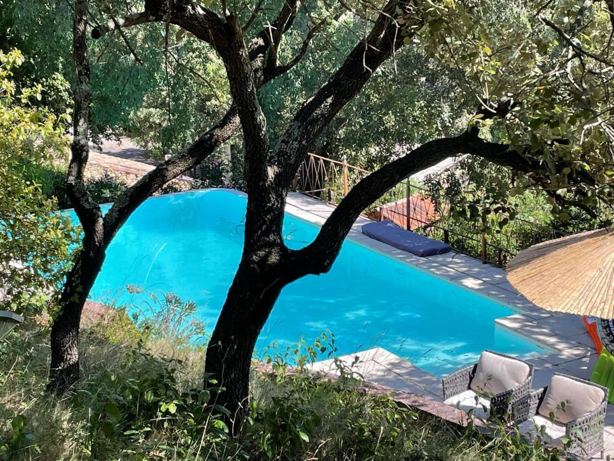 Jolie Annexe Du Mas Dans Le Coeur De La Garrigue Nimoise Villa นีมส์ ภายนอก รูปภาพ